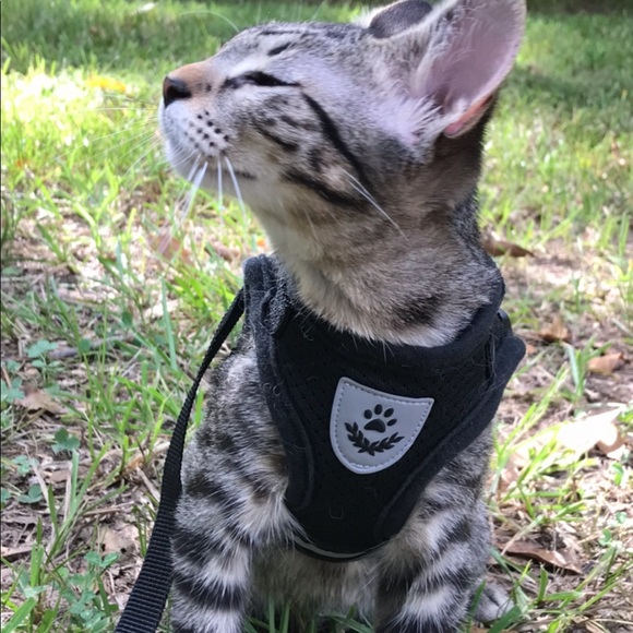 like new black leather buttery soft Wilson’s leather vintage - Picture 14 of 16